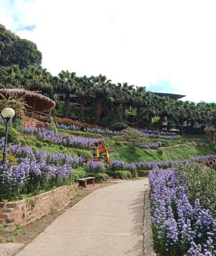 Doi Suthep+Phuping+Doi pui