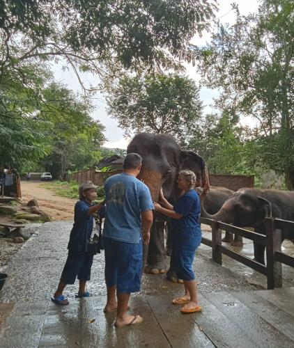 Elephant Camp Maetang