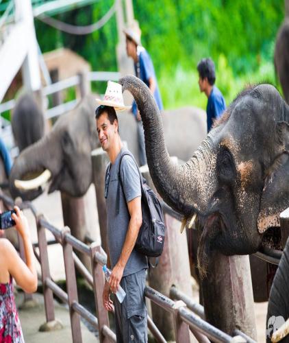 One day tour chiangmai