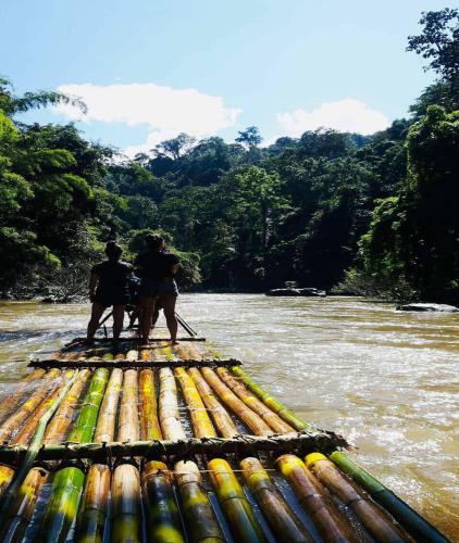 Chiang Dao and Mae Taeng Trip(ทริปเชียงดาว)