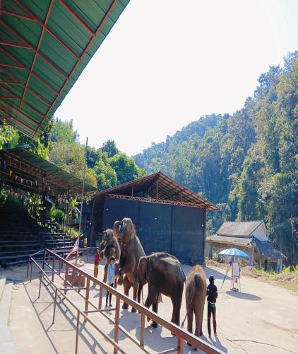 Chiang Dao and Mae Taeng Trip(ทริปเชียงดาว)