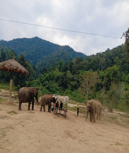 Chiang Dao and Mae Taeng Trip(ทริปเชียงดาว)